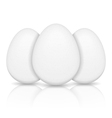 Eggs vector image