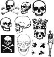 Grunge skulls and bones vector image