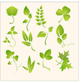 Plants silhouettes vector image