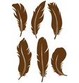 Feather set vector image