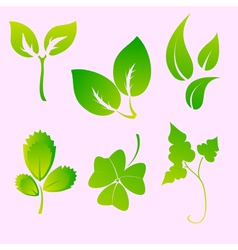 Leaves silhouettes vector image