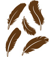 Feather set vector image