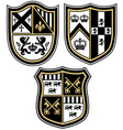 Heraldic emblem crest shield vector image