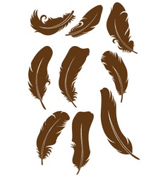 Feather set vector image