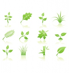 Floral icon set vector image