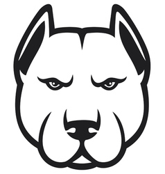 Pit bull head vector image