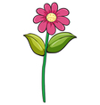 Flower vector image