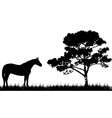 Silhouette of horse and tree vector image