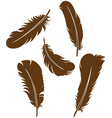 Feather set vector image