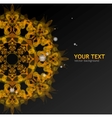 Gold ornament vector image