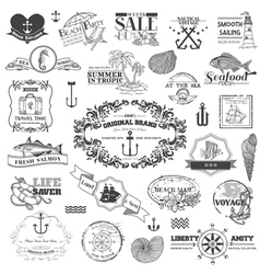Nautical Sea Calligraphic Elements vector image