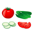 Cucumber and tomato vector image