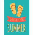 Summer Poster vector image