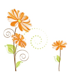 Springtime colorful Daisy flower vector image