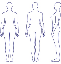 Naked standing woman vector image