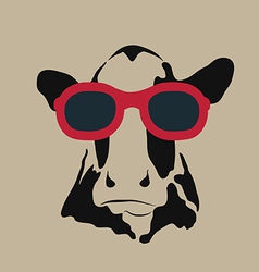 Cow glasses vector image