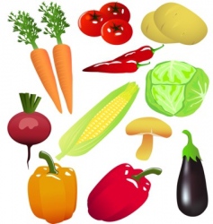 Vegetables vector image