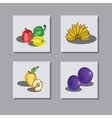 Set fruit 1 Set fruit 1 vector image