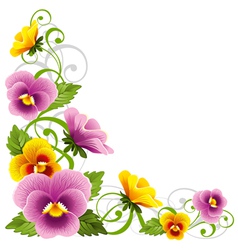 Pansy vector image