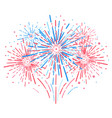Holiday firework independence day of america vector image