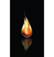 Flame vector image