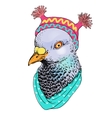 fashion bird animal anthropomorphic vector image