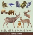 Hunting animals vector image