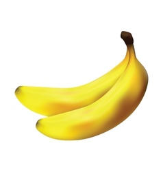 Two bananas vector image