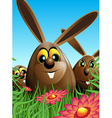 Three Easter eggs hidden in the grass vector image