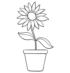 A flower and a pot sketch vector image