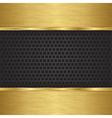 Abstract golden background with metallic speaker g vector image