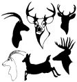 Deer vector image