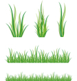 Set of green grass vector image