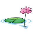 A waterlily flower vector image