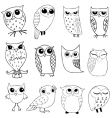 Owlstravaganza vector image