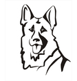 German shepard vector image