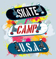 Skate camp vector image