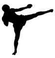 Roundhouse kick outline vector image