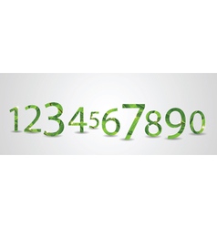 Number leaves vector image
