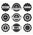 Vintage stickers and labels Vintage stickers and labels vector image