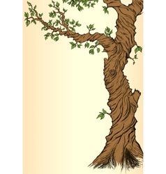 Summer or spring background with tree vector image