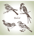 Bird set vector image