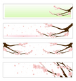 Flowered sakura vector image