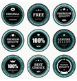 Vintage signs and labels vector image
