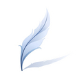Feather vector image