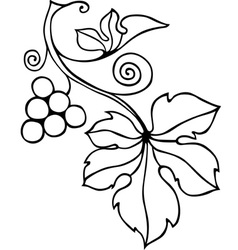 Grape vector image