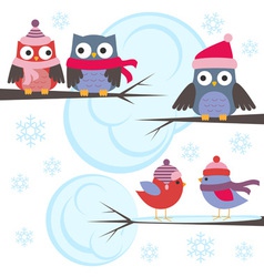 Owls and birds in winter forest vector image