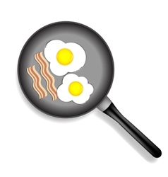 Fried eggs vector image