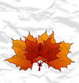 Autumnal maple leaves crumpled paper texture vector image