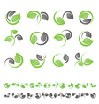 Green leaf logo vector image